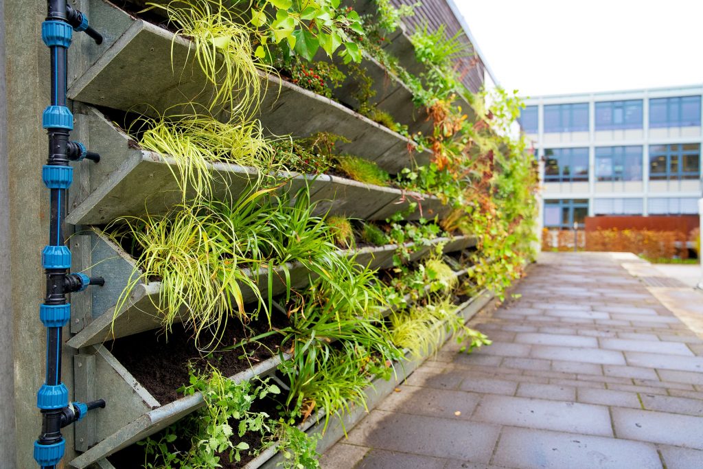 What Is Vertical Gardening